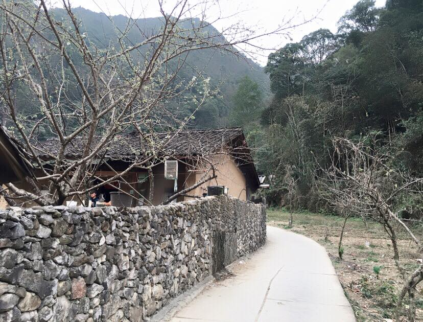 Photo: myhagiang
