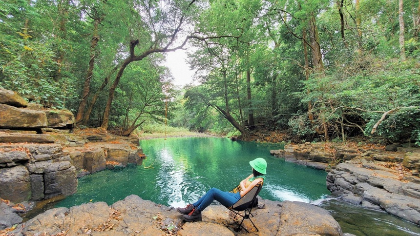 When you walk through the primeval forest, remember to breathe in the fresh atmosphere. It will help you feel more relaxed and your mind becomes more peaceful.  (Photo: ZingNews) 