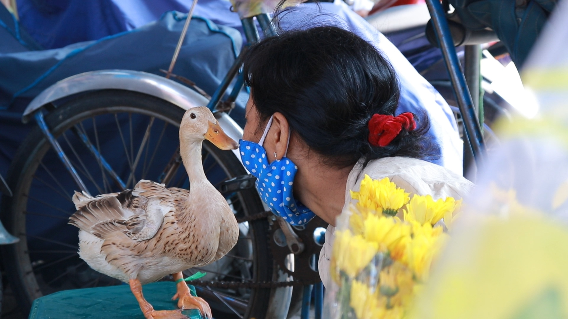 Florist raises 2 duckling staff