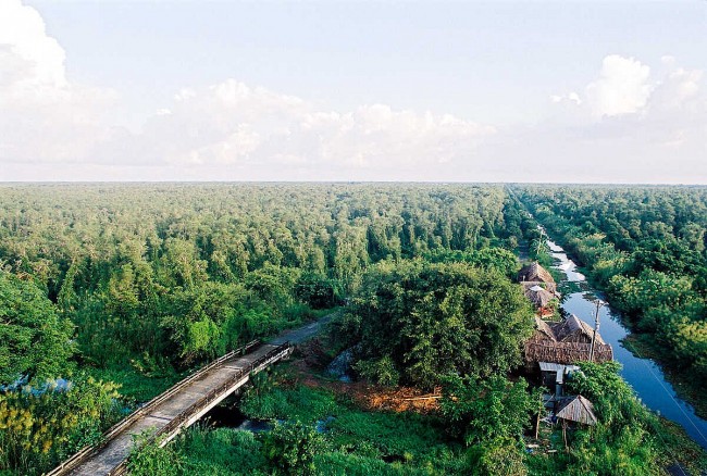 Discover The Amazing U Minh Ha National Park