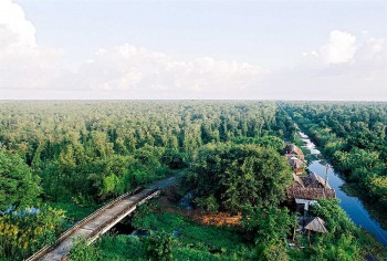 Discover The Amazing U Minh Ha National Park