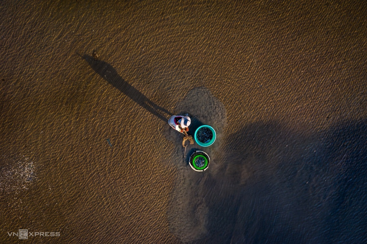 The shadow of a fisher on the surface of the lagoon. Thi Nai lagoon is a place of biodiversity with rich mangrove ecosystems, including: 25 species in seagrass area; 64 species of phytoplankton and 76 species of fish.  Photo: VnExpress 