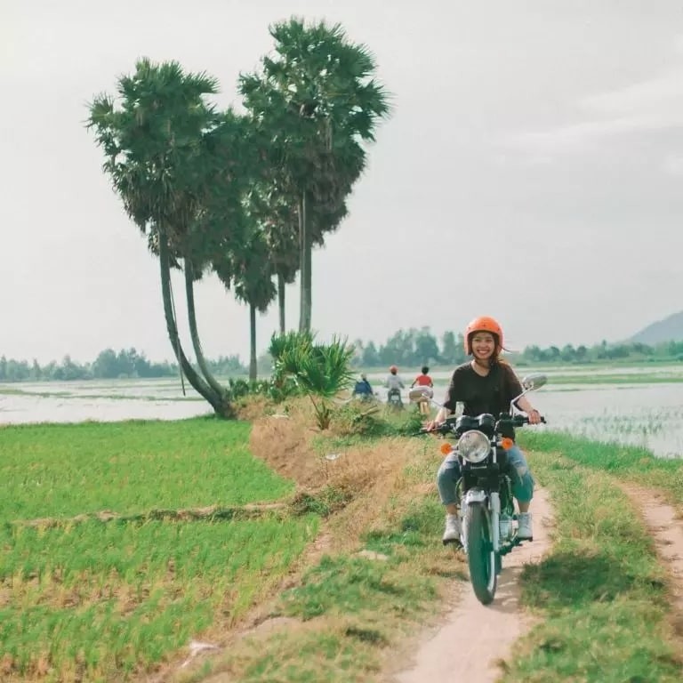 Discover The Unique “Lonely Trees” For Young Travelers To “Check-In” In Vietnam