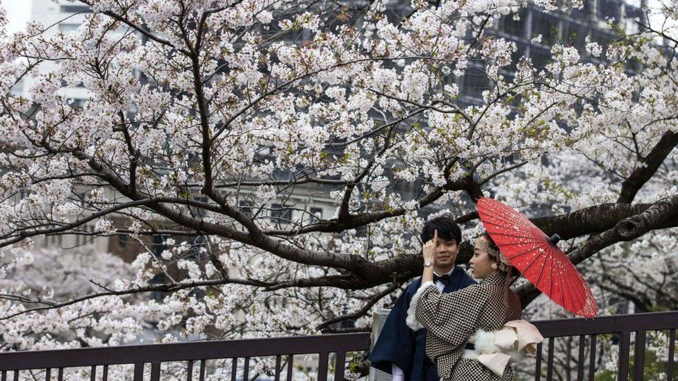 Photo: BBC