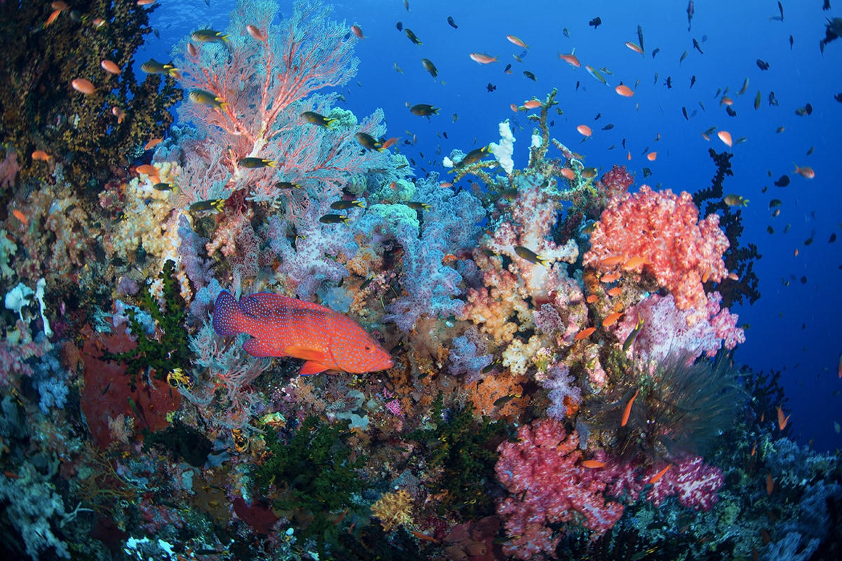 The Best Travel Destinations And Attractions In Asia For Tourists