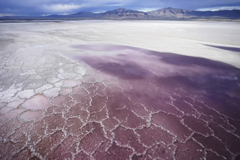 Pink water washes over a salt crust along the receding edge of the Great Salt Lake. Photograph: Rick Bowmer/AP