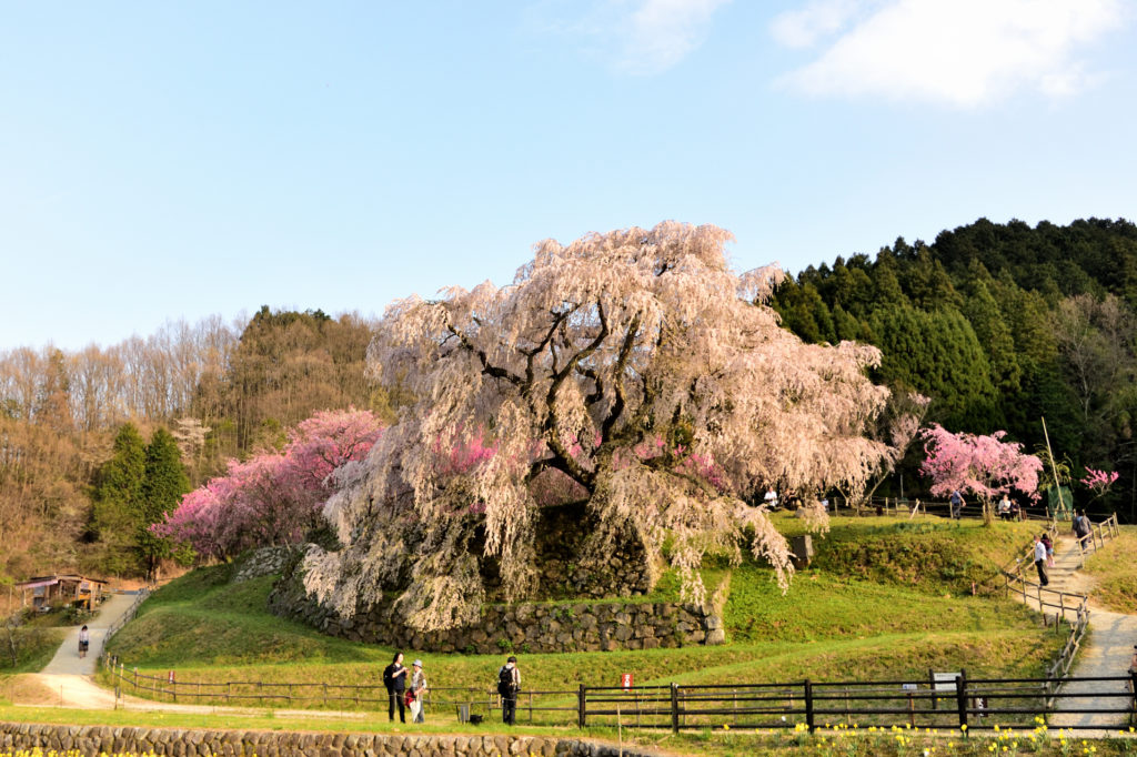 Photo: Japan Dramatic Scene 