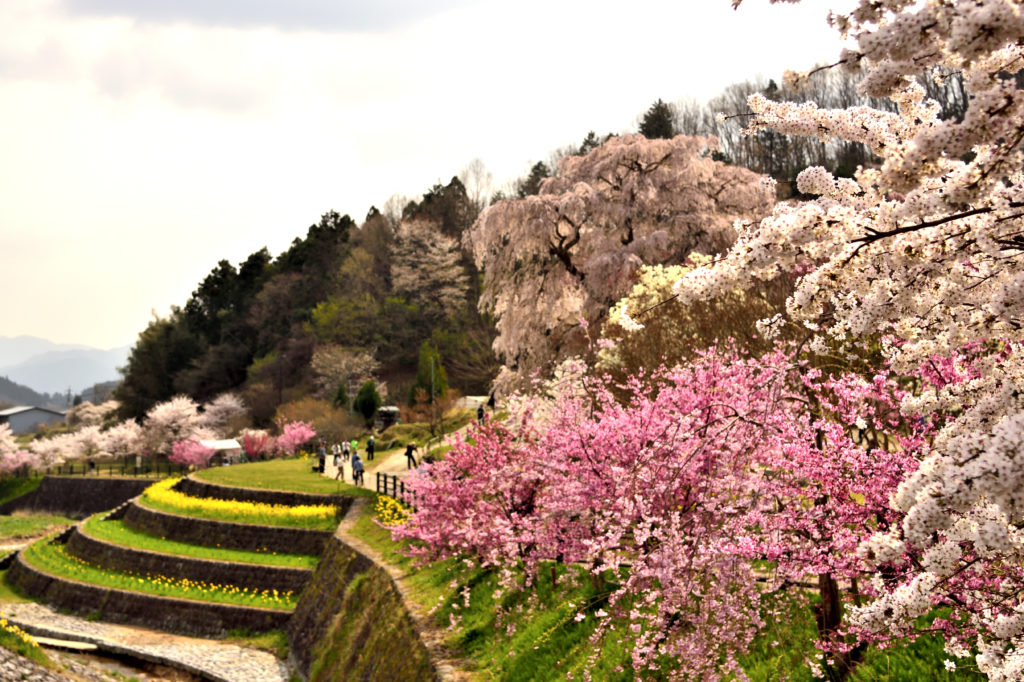 Photo: Japan Dramatic Scene 
