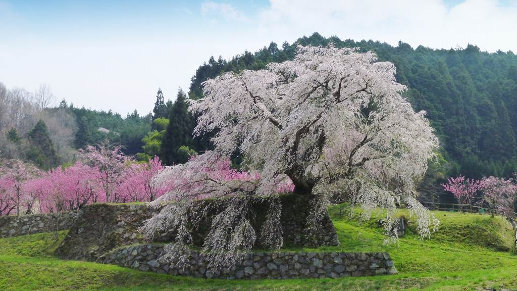 Photo: Kansai Travel Guide 