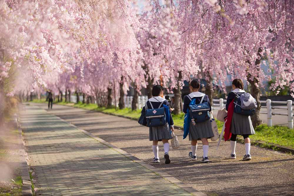 Photo: Ikidane Nippon 