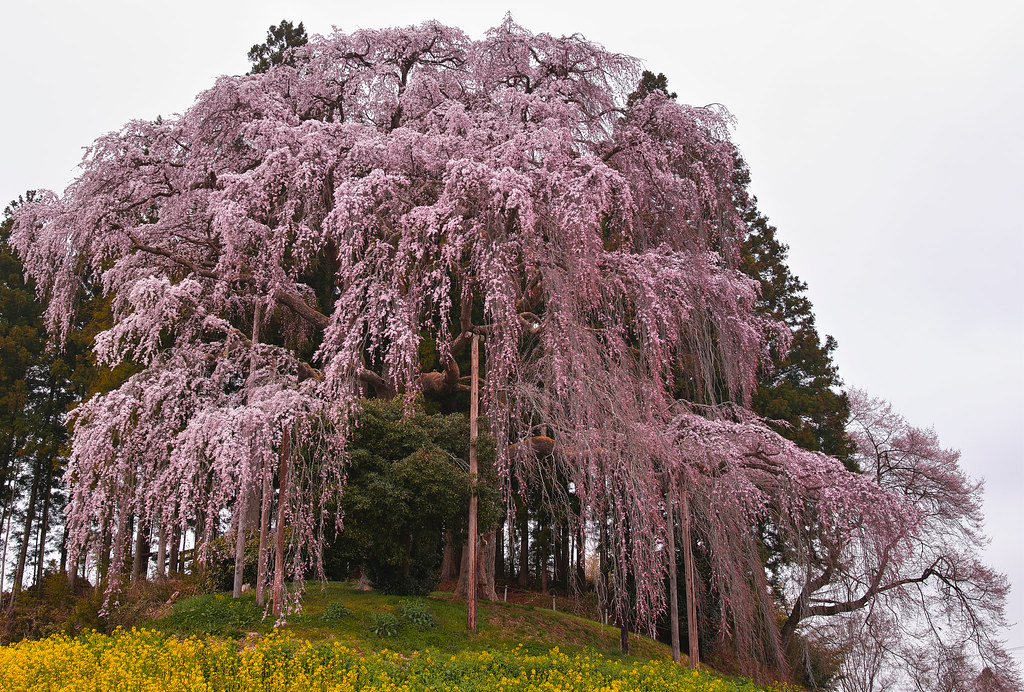 Photo: Flickr 