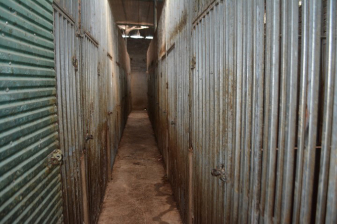 The basement where the tigers were kept. Photo courtesy of Nghe An Police. 