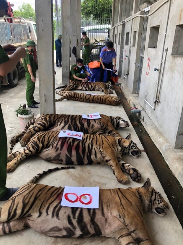 Photo: Nghe An Police Department 