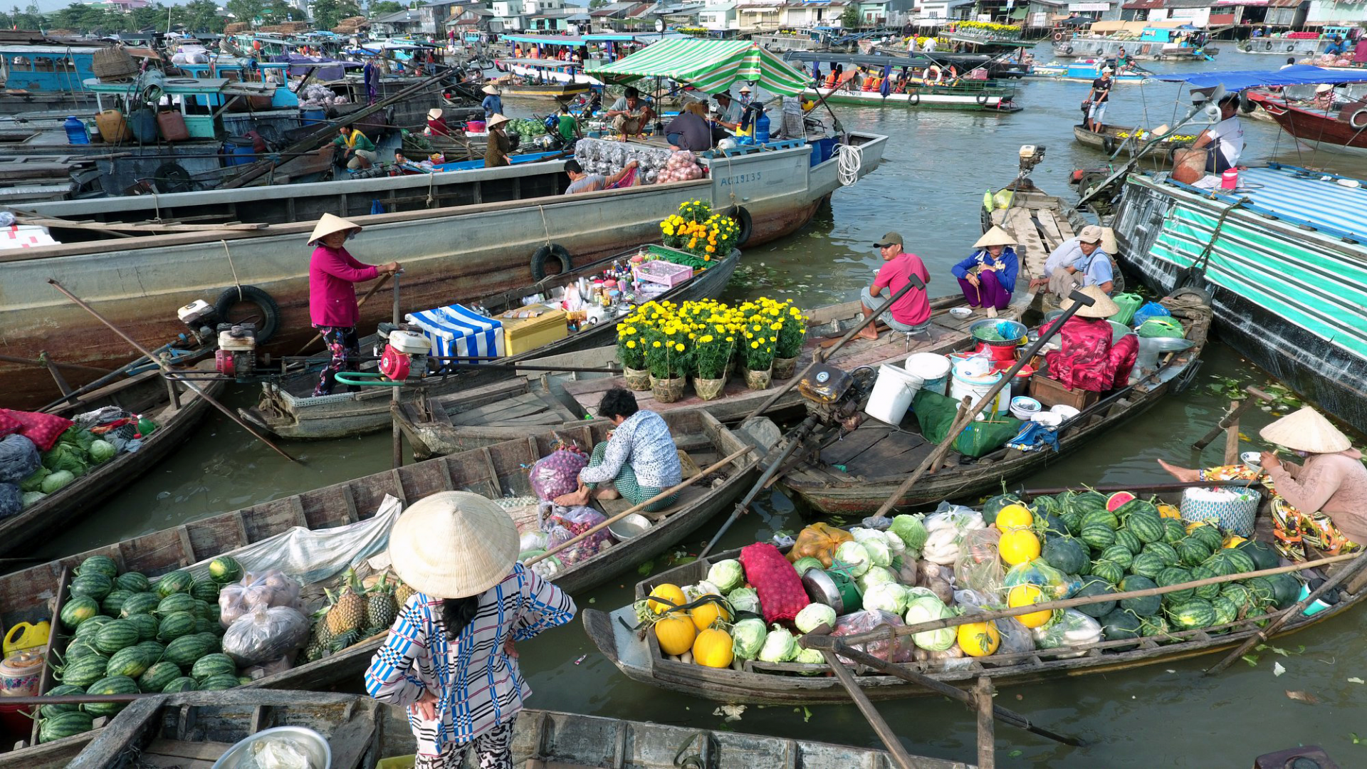Photo: thanhnienmekong