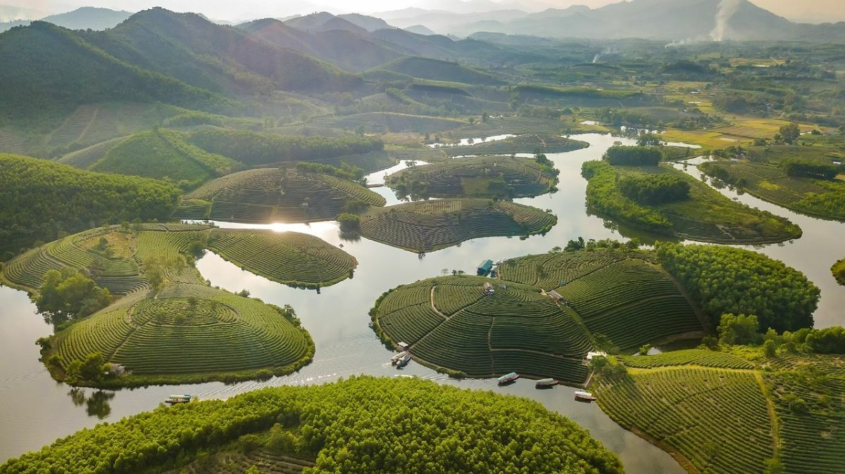 Interesting Facts About Vietnam's Largest Provinces