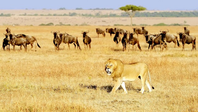 Wonderful Destinations That You Should Visit When You are Young