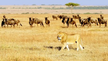 Wonderful Destinations That You Should Visit When You are Young