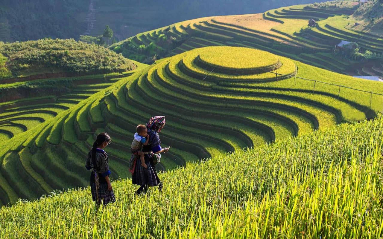 Photo: Vietnam Discovery Travel 