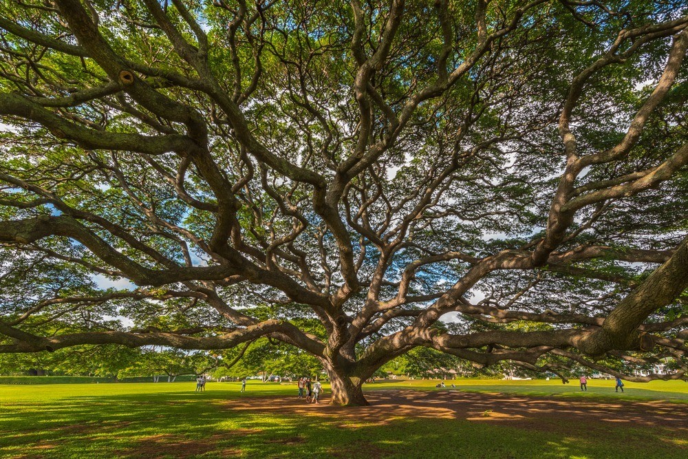 Photo: Shutterstock 
