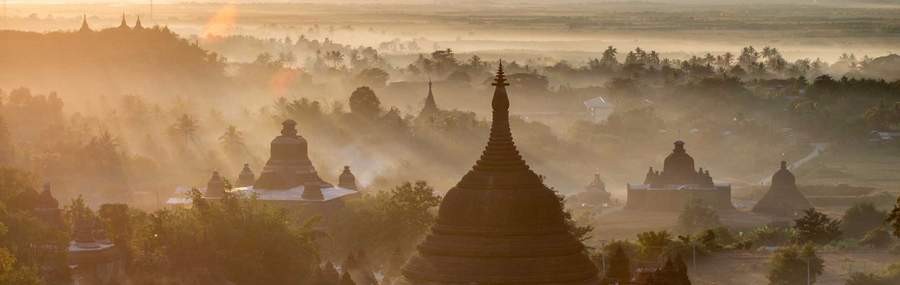 Photo: Shutterstock 