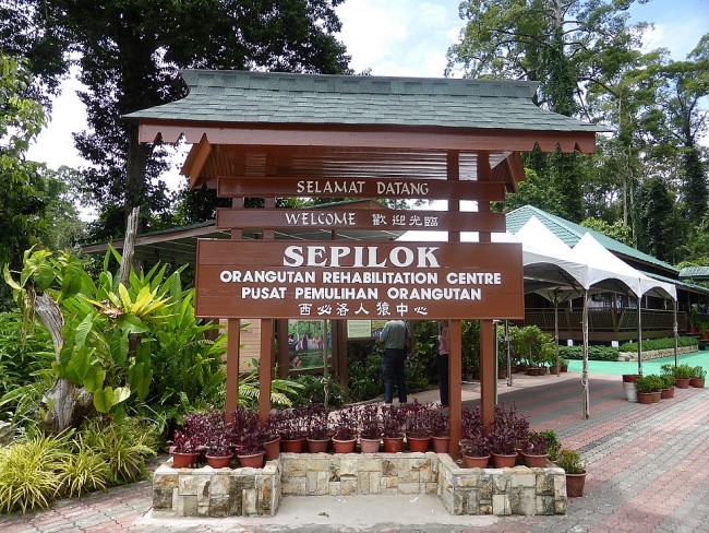 Explore Top 7 Wonderful and Must-Visit Wildlife Hot-Spots in Southeast Asia