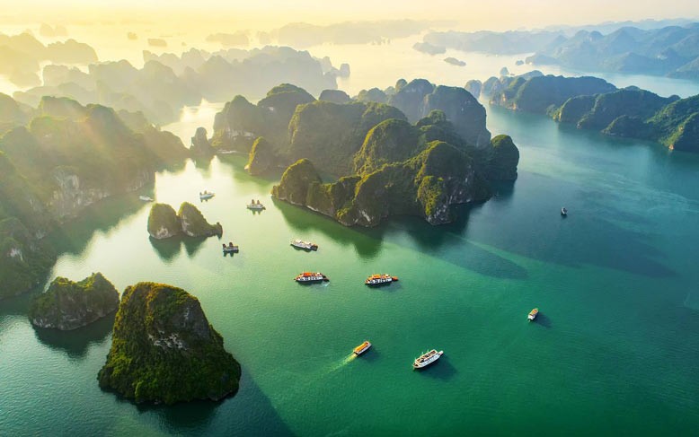 Photo: Gia Bao Group 