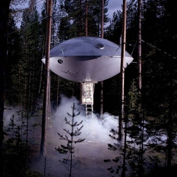 Top 7 Coolest Treehouse Hotels In The World