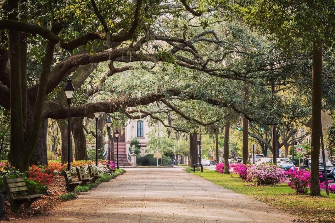 Photo:  Explore Georgia