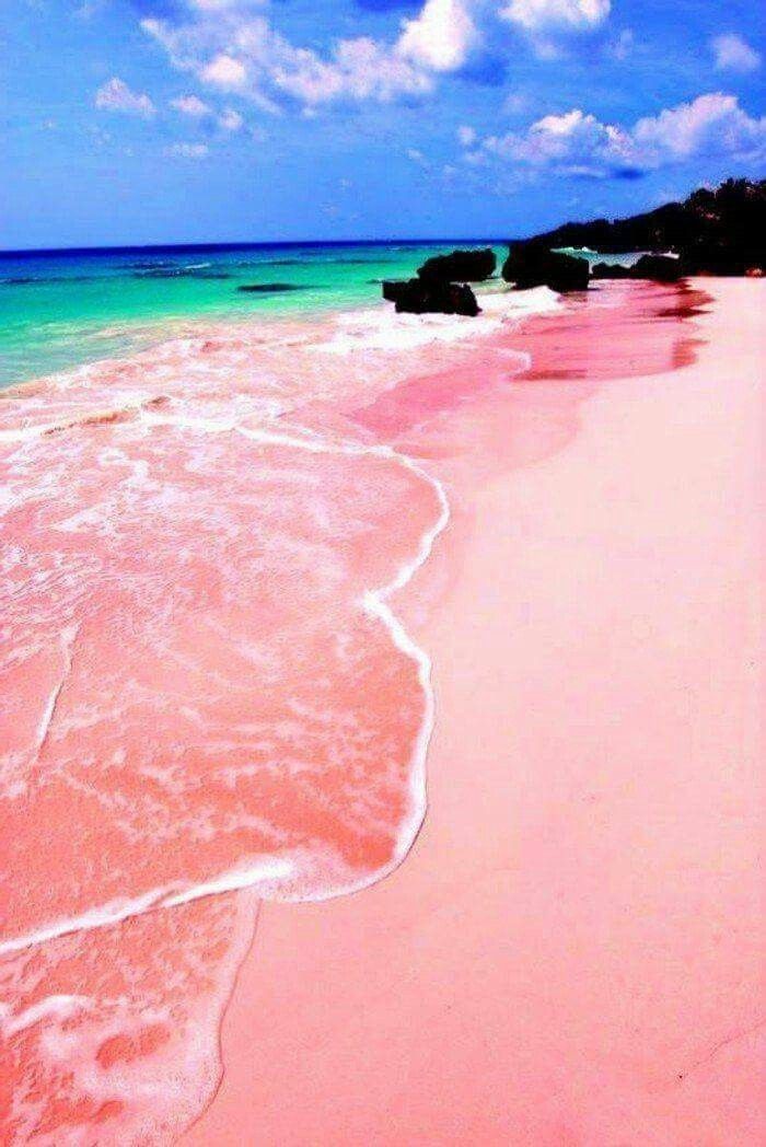 Photo: Pinterest 