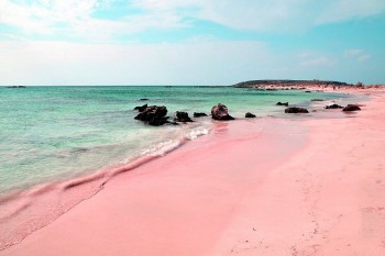 Harbour Island: Visit The Most Romantic Pink Sands Beach In The World