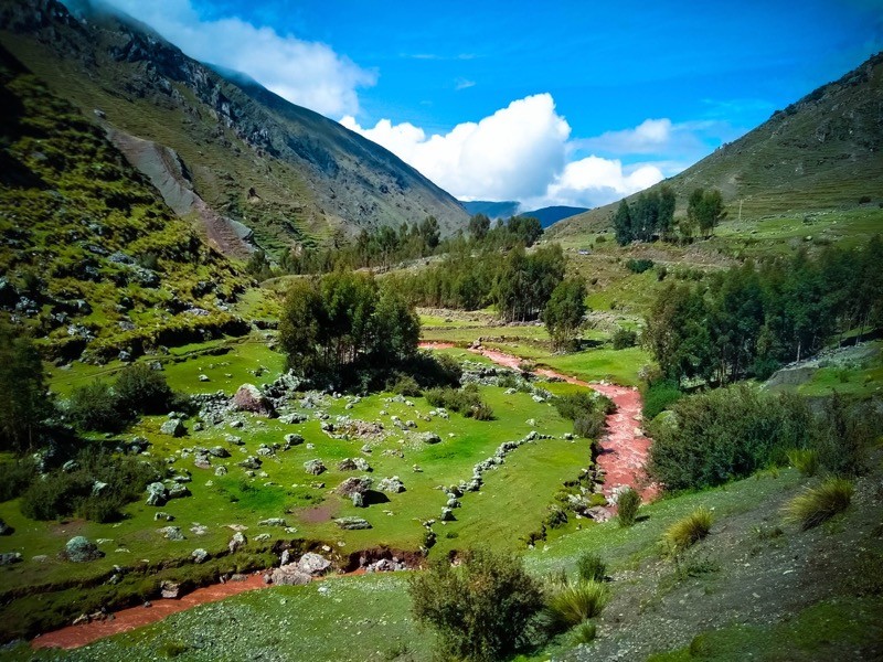 Photo:  Cusco Native