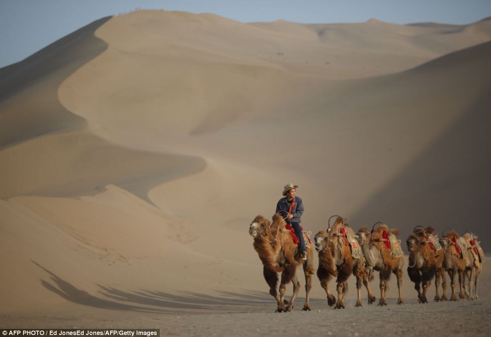 Problem: The Chinese Government plans to introduce a range of measures to tackle increasing desertification which threatens various regions. Photo: Getty Images 