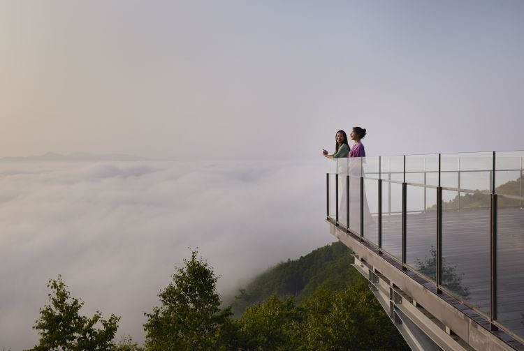 Photo: Japan Travel