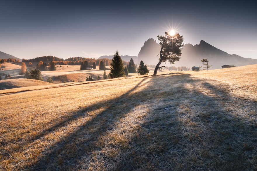 Photo: Karol Nienartowicz