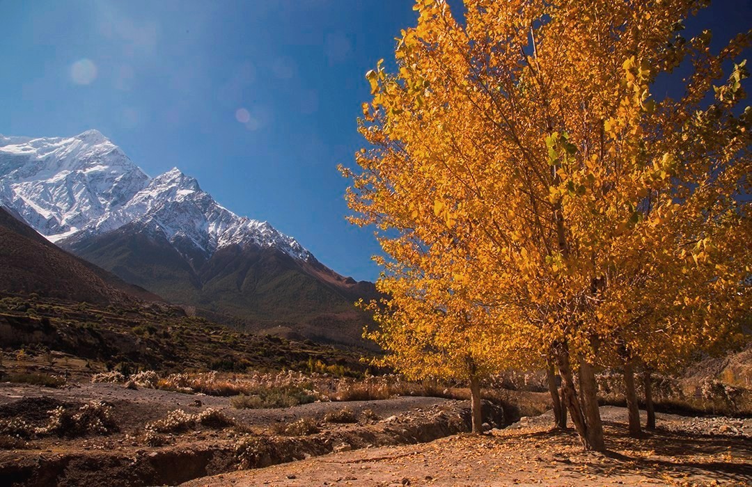 Photo: Himalayan Travellers Nepal