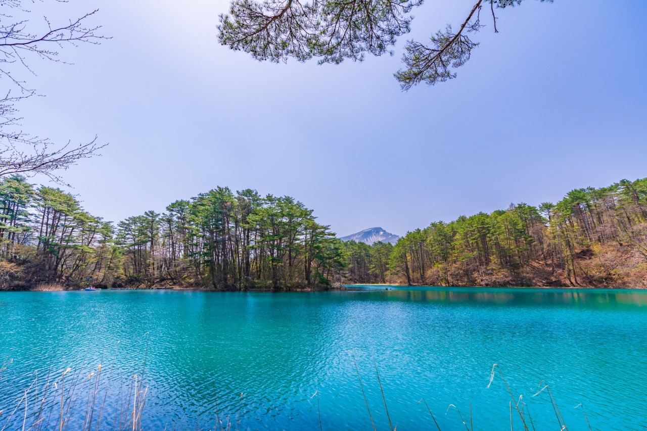 Photo: tohokukanko