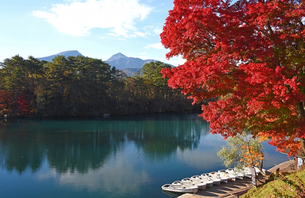 Photo: tohokukanko