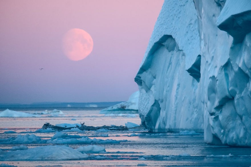 The Icefjord at around 1am in summertime. Photo: Maria Sahai 