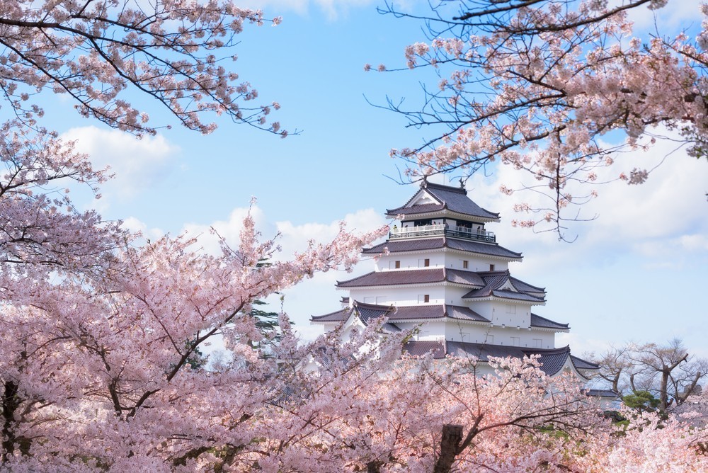 Photo:  FUN! JAPAN