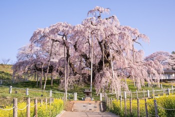 5 Most Fascinating Spots To Visit In Fukushima For A Spring Vacation