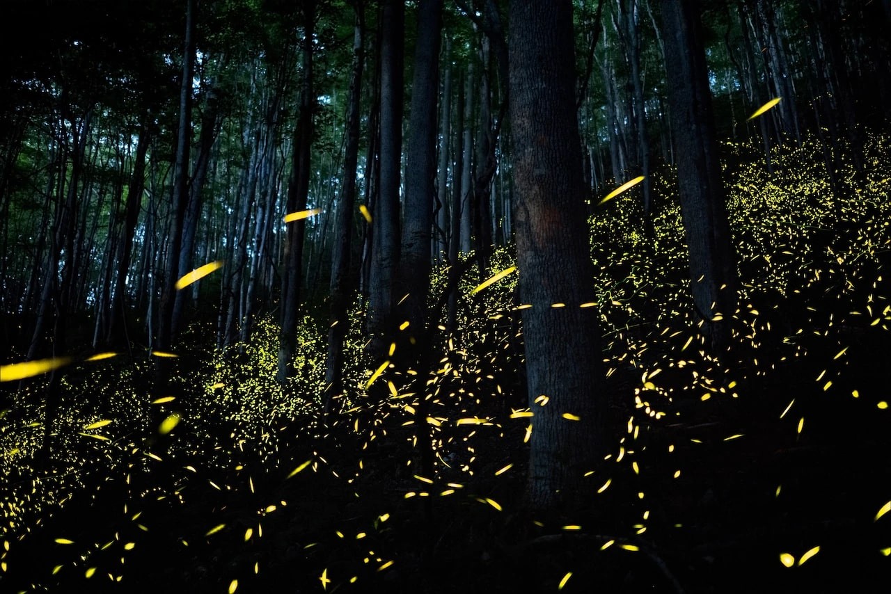 PHOTOGRAPH BY KILIII YUYAN, NATIONAL GEOGRAPHIC