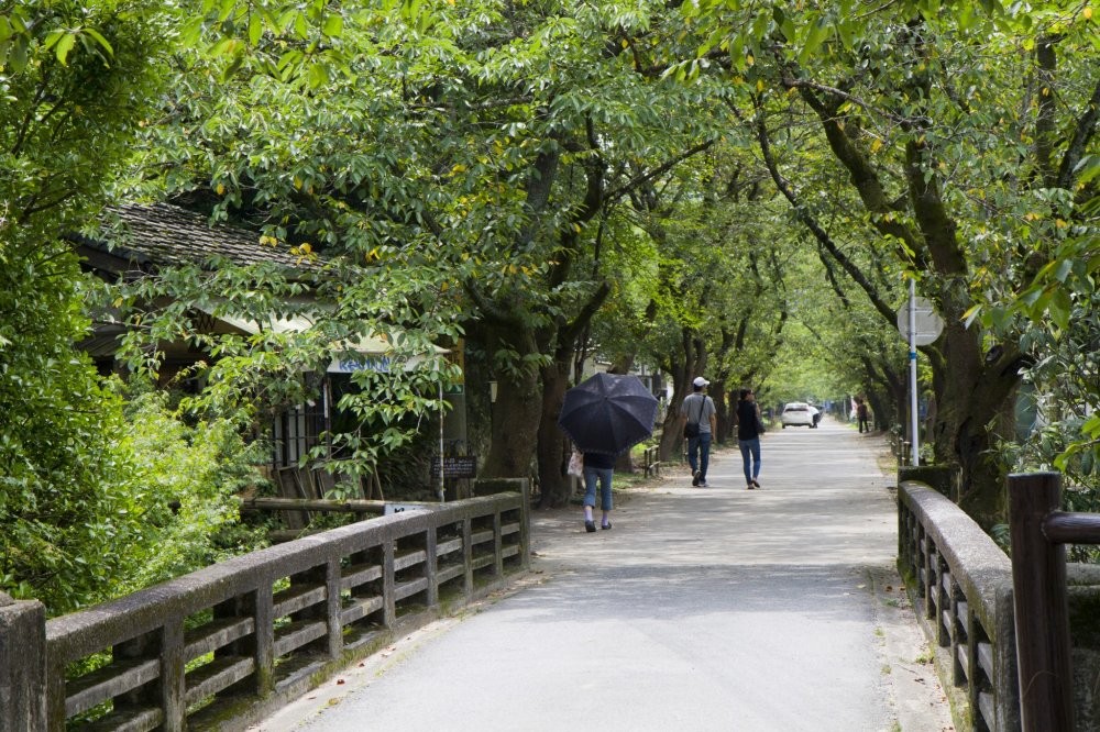 Photo: Japan Travel