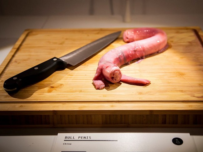 Sweden: The Weirdest “Disgusting Food Museum” That Will Challenge Your Senses