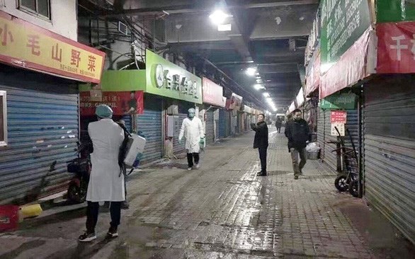 vietnam closely monitors severe pneumonia outbreak in central china
