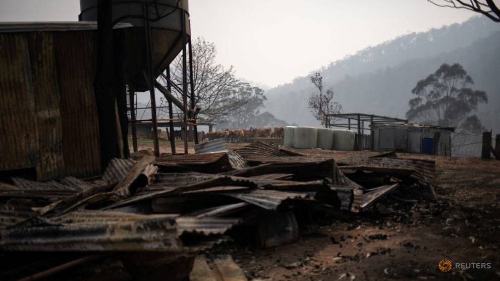 relief as rain falls over australian bushfires