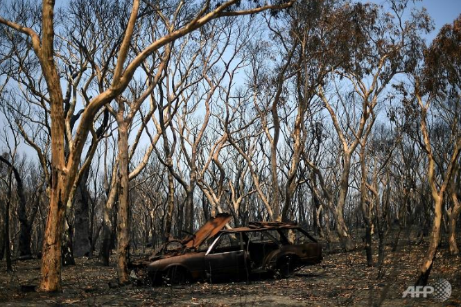 relief as rain falls over australian bushfires