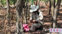npa continues help with clearing bombs and mines in quang tri