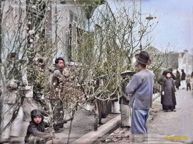 photographs of vietnams lunar new year in hanoi in the 1920s