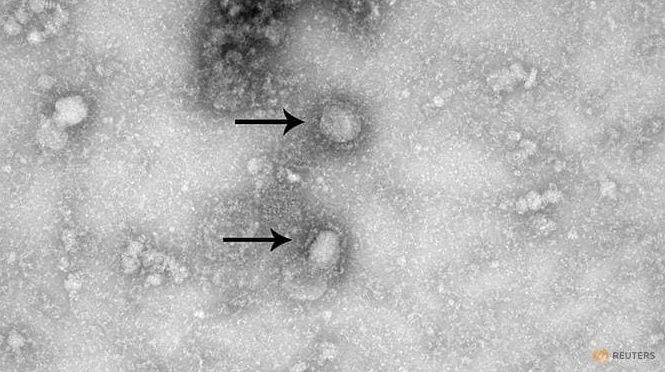 incubation period of wuhan virus is around 5 days study