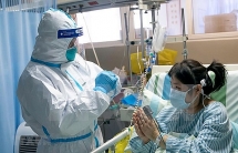 one more ncov infection in vietnam total cases rise to six